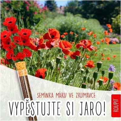 Květinová zkumavka - mák polní