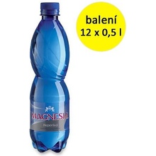 Magnesia neperlivá 12 x 0,5 l