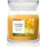 Yankee Candle Starfruit & Sunshine ароматна свещ 368 гр