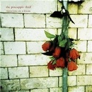 PINEAPPLE THIEF: VARIATIONS ON A -DIGI- CD