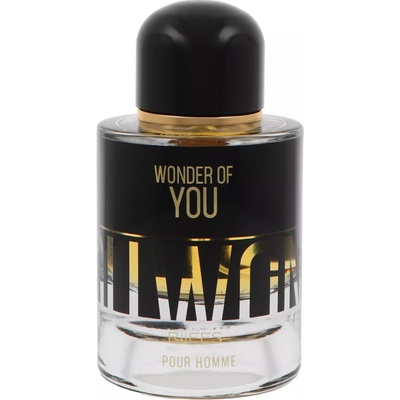 Riiffs Perfumes Wonder Of You Homme parfémovaná voda pánská 100 ml