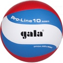Volejbalové míče Gala Pro Line 10 BV 5581 S