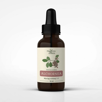 Alchornea cordifolia tinktúra 1:1 50 ml alchornea cordifolia
