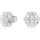 Swarovski 5691483