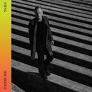 The Bridge - Sting CD