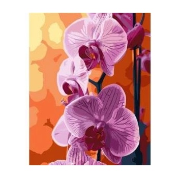 Qbee Paint by numbers - Orchid 40x50cm