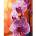 Qbee Paint by numbers - Orchid 40x50cm