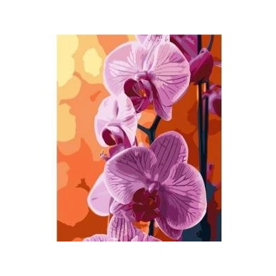 Qbee Paint by numbers - Orchid 40x50cm