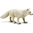 Safari Ltd. Liška polární