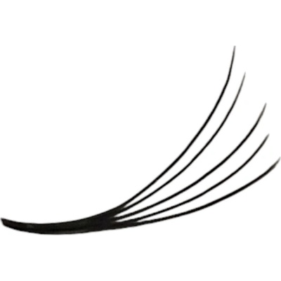 Luxury lashes 5D Mega Black Premium sypané v pripravenom vejári 1 000 ks Zakrivenie umelých rias: CC, Dĺžka umelých rias: 12 mm, Hrúbka rias: 0.09