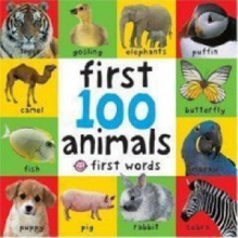 First 100 Animals Bright Baby