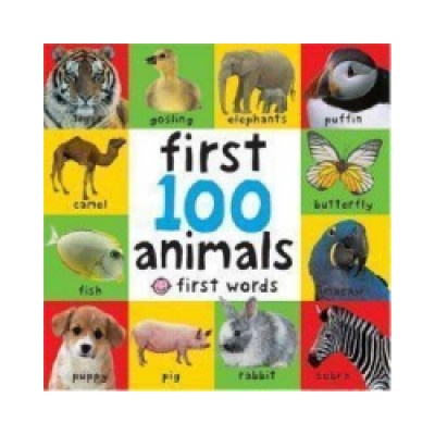 First 100 Animals Bright Baby