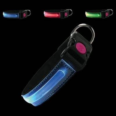 PETTY LED obojek pro psy dobíjecí USB obojek s přezkou a bezpečnostním tlačítkem