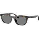 Ray-Ban RB4474D 710/87