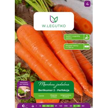W. Legutko Berlikumer 2 ядлива морков - средно късна