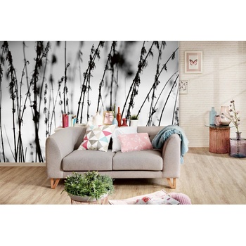 DIMEX ART s. r. o Самозалепваща се флизелинова фототапета черно-бяла трева 375 x 250 см