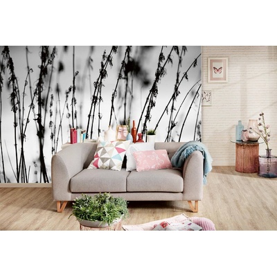 DIMEX ART Самозалепваща се флизелинова фототапета черно-бяла трева 375 x 250 см