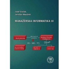 Manažérska informatika III