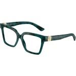 Dolce&Gabbana DG3395 3460