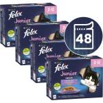 FELIX Fantastic Junior вкусен избор 48 x 85 г