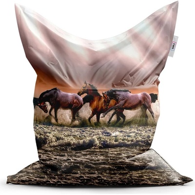 Sablio Sedací vak Kone vo vode 200x140 cm