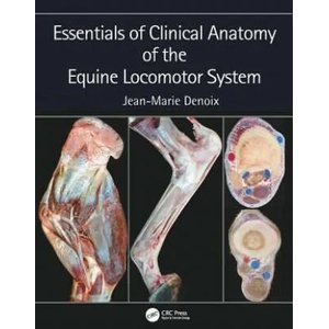 Essentials of Clinical Anatomy of the Equine Locomotor System | Jean-Marie Denoix (ISBN: 9781498754415)