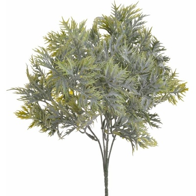 Eryngium listy flok - zelená