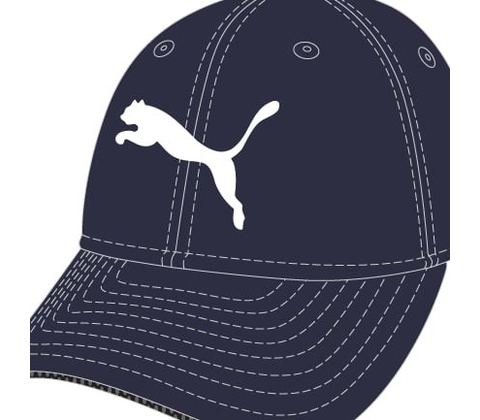 Puma Ess Cap
