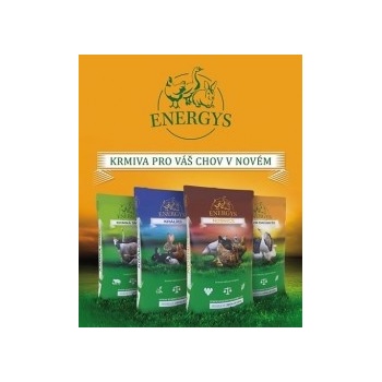 Energys Brojler Midi Forte 25 kg