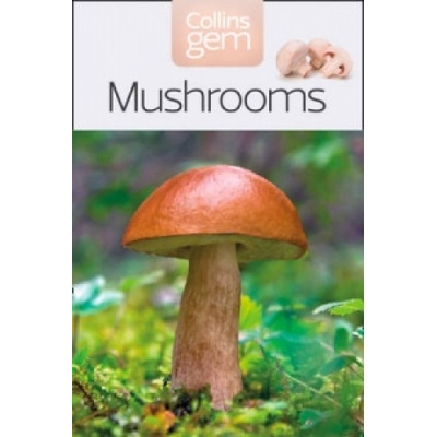 Mushrooms - Patrick Harding