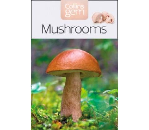 Mushrooms - Patrick Harding
