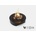 Gloss Fire Dalex Radius 600