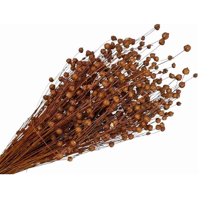 Sušený ľan - kytica cca 100g - hnedý
