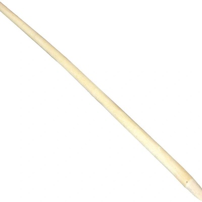 EXTOL Craft 260376 Násada do hrábí 140 cm