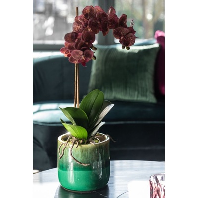 Dekorácia umelá kvetina Orchidea s kvetináčom - 23*23*50 cm - J-Line by Jolipa
