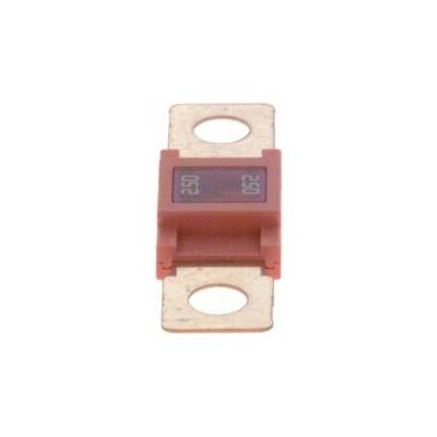 Poistka BOSCH 1 987 531 006