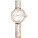 Swarovski 5705406