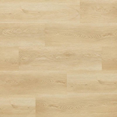 Arbiton Woodric Dryback DW 182 Dub Holman 3,474 m²