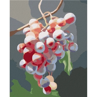 zuty Malování Podle Čísel Hrozny 2 Myroslava Voloschuk 40 x 50 Cm Plátno Rám