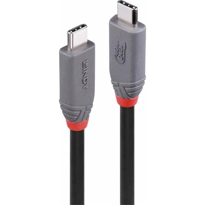 Lindy 36958 USB-C USB 4.0 USB-C ® zástrčka 2m černý