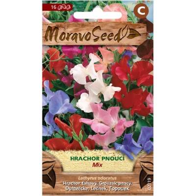 Lathyrus odoratus/Hrachor voňavý/popínavá zmes MS 2319