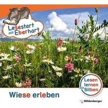 Wiese erleben