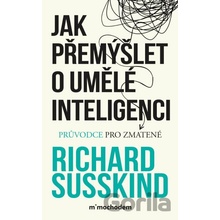 Jak přemýšlet o umělé inteligenci