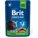 Krmivo pro kočky Brit cat Premium Chicken Slices for Sterilised 24 x 100 g