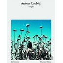 Anton Corbijn: Allegro Paperback