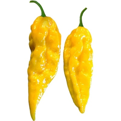 Semínka Piquant Paprička chilli BHUT JOLOKIA YELLOW