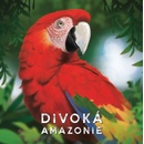 Karetní hry Divoká Amazonie