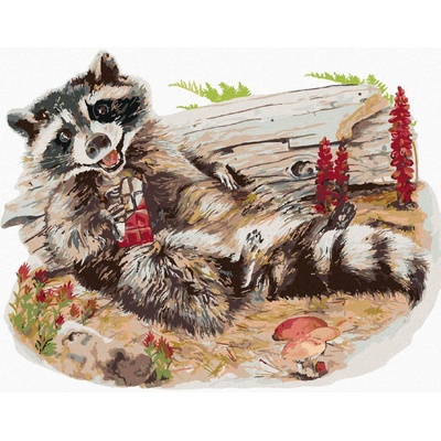 zuty Malování podle čísel Mýval s čokoládou Holly Simental 40 x 50 cm vypnuté plátno na rám