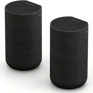 Sony SA-RS5 Активни колони