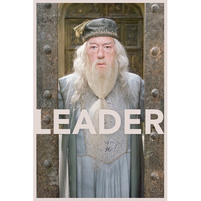 Europosters Plagát, Obraz - Harry Potter - Albus Dumbledore, 26.7 × 40 cm